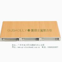 美麗複合闆